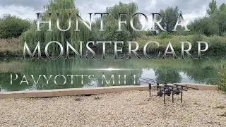 Hunting Monster Carp @ Pavyotts Mill Fishery.