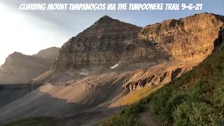 Mount Timpanogos Hiking Guide for the Timpooneke Trail - This is one of Utah's Most Popular Hikes