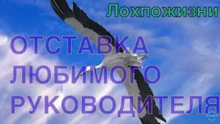 Отставка любимого руководителя