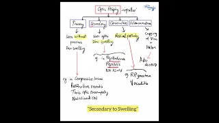 Optic Atrophy - Types and Causes #Shorts