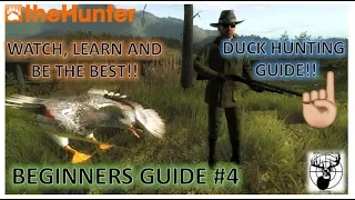 BEGINNERS GUIDE #4 DUCK HUNTING GUIDE.Thehunter Classic game play 2018