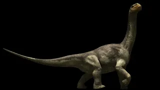 Prehistoric Profiles: Camarasaurus