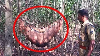 Top 5 Creepiest Things Found In The Woods