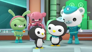 أوكتونوتس 1-1 افلام كرتون اطفال بدون موسيقى Octonauts