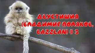 ДВУСТИШИЯ Владимир Поляков, Bazzlan # 3