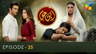 Ibn-e-Hawwa - Episode 25 - [𝐂𝐂] - 30th July 2022  - HUM TV