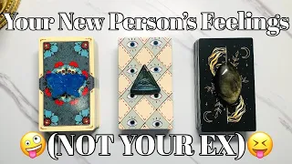 Your New/Newish Person's Feelings for You❤️😘🤯 (Not your ex) 🤪 Pick a Card Tarot Love Reading✨