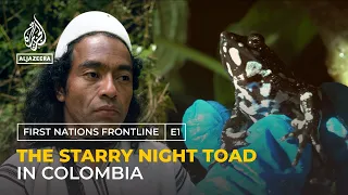 The frog that could save the world: Colombia's Starry Night Toad | First Nations Frontline EP 1