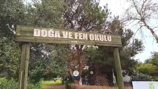 YASAK YERE GİRMİŞİM / ERDEMLİ ÇAMLIK VE KAMP-KARAVAN ALANI.