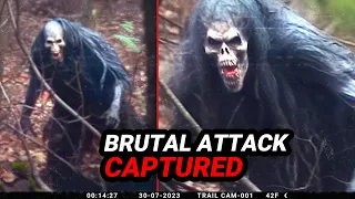 Trail Cam Footage That Surprised Even the Skeptics