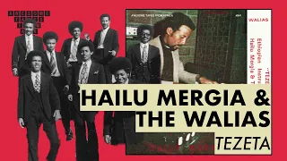 Hailu Mergia & the Walias Band - Nefas New Zemedie