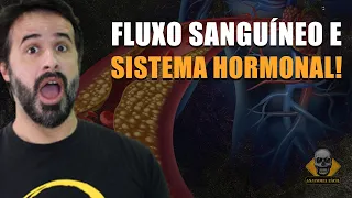 APRENDA TUDO SOBRE FLUXO SANGUÍNEO E SISTEMA HORMONAL!