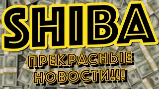 ШИБА ИНУ! ЭТО. НАКОНЕЦ. ПРОИЗОШЛО! НОВОСТИ И АНАЛИТИКА  КРИПТОВАЛЮТА SHIBA INU!