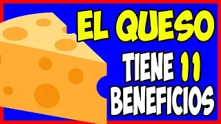 11 Beneficios del Queso para la Salud ¡Conociéndolos lo disfrutarás aún más!