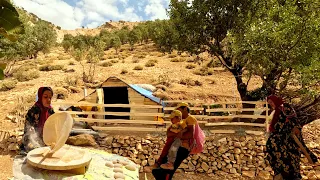 Documentary collection of firewood to cook Tiri Lavash bread by a young nomadic couple:. part 45