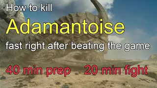 How to kill adamantoise fast with minimal prep (stream highlights)