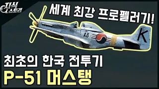 최초의 대한민국 전투기 "P-51 머스탱" / 최강의 프로펠러기 [지식스토리]