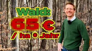Unglaublich wie "viel" € Wald pro ha wirklich abwirft | Waldrundgang Teil 2 mit Nico März `23