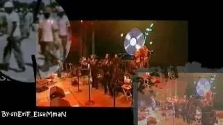 pink floyd - roger waters - money - by-sherif_elsamman-2011.avi