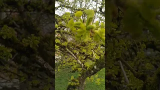 Fehler suchen ist ein Dämonischer Weg 🤔 in ALLEM das gute suchen.  🥰