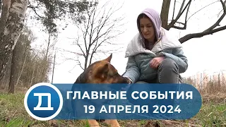 19.04.2024 Домодедово. Главные события.