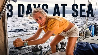 Our Sail Just Got 10 TIMES Longer 😳 Sailing Vessel Delos Ep. 457