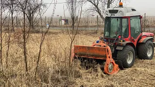 Defrisare vegetatie invaziva prin tocarea vegetației cu tocator forestier