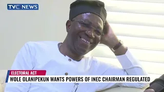 Wole Olanipekun Wants Powers Of INEC Chairman Regulated