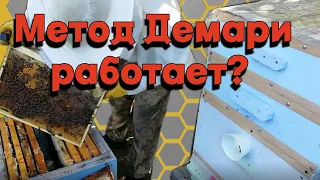 Результат вывода из роевого без потери пчел.- Метод Демари