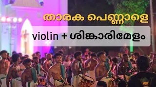 താരക പെണ്ണാളേ വയലിൻ + ശിങ്കാരിമേളം | Fusion |violin vs shinkarimelam #violin #shinkarimelam #fusion