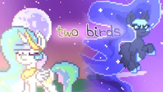 • Two birds // || pony town animation ||•