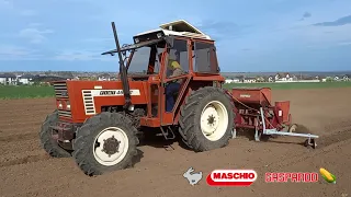 Semina mais 2024 | Fiat 466 + Gaspardo SP 510 | La semanat porumb