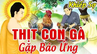 Chuyện Nhân Quả Hay 2024, KHIẾP SỢ! Đói Quá ... Thịt Con Gà Trống Chịu Quả Báo Sát Sinh Nghe Đáng Sợ