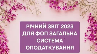 Загальна система оподаткування. Річна декларація 2023.Декларація про майновий стан. Заповнюємо разом