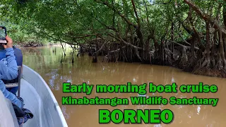 Kinabatangan Wildlife Sanctuary, Borneo- morning nature cruise - 01 May 2023 - 4K