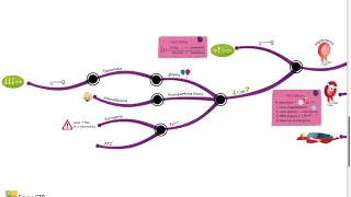 Mapas mentales hematologia - Anemias  Introducción