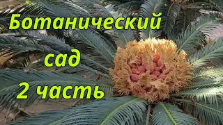 Ботанический сад.2 часть. 아산세계꽃식물원.