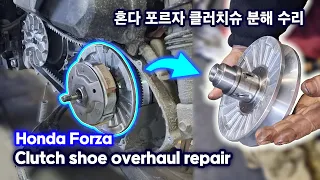 How to overhaul the Drivetrain clutch shoes on a Honda Forza 300 motorcycle