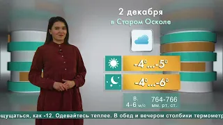 Погода в Старом Осколе на 2 декабря