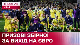 Скільки збірна України отримала грошей за вихід на Євро-2024? – Цікаво про спорт