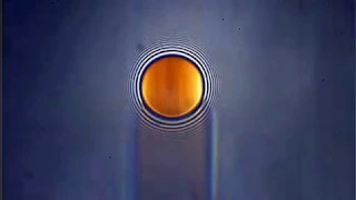 Film thickness measurement using optical interferometry