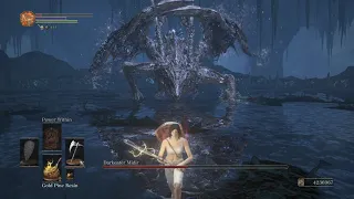 Darkeater Midir SL1 NG+7 No Roll/Block/Parry (1/52)