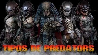 TIPOS DE PREDATORS Y RANGOS (YAUTJA) - MaxiLunaPMY