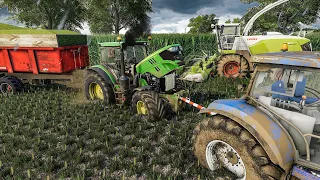 Tractor stuck in deep mud ! Hard conditions of Maize silage | Farming Simulator Tractor Rescue