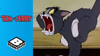 Tom & Jerry vs Spike | Tom & Jerry | Boomerang UK