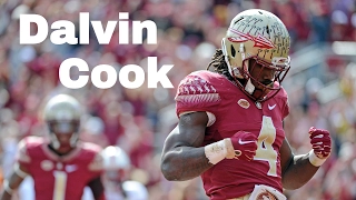 Dalvin Cook ||" Best RB in the Country "|| Career Highlights