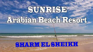 Hotel SUNRISE Arabian Beach Resort SHARM EL SHEIKH