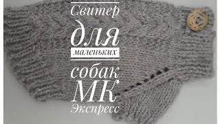 Свитер для маленьких собак//МК Экспресс!!!