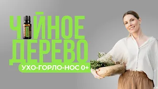 Ухо-горло-нос: эфирное масло Чайного дерева