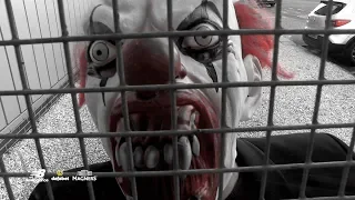 🤡 Celtic Halloween prank!